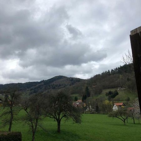 Petit Week End Dans La Vallee Breitenbach-Haut-Rhin Exteriör bild