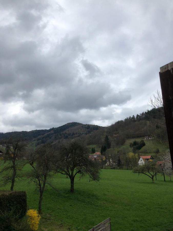 Petit Week End Dans La Vallee Breitenbach-Haut-Rhin Exteriör bild