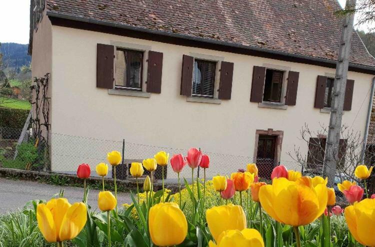 Petit Week End Dans La Vallee Breitenbach-Haut-Rhin Exteriör bild