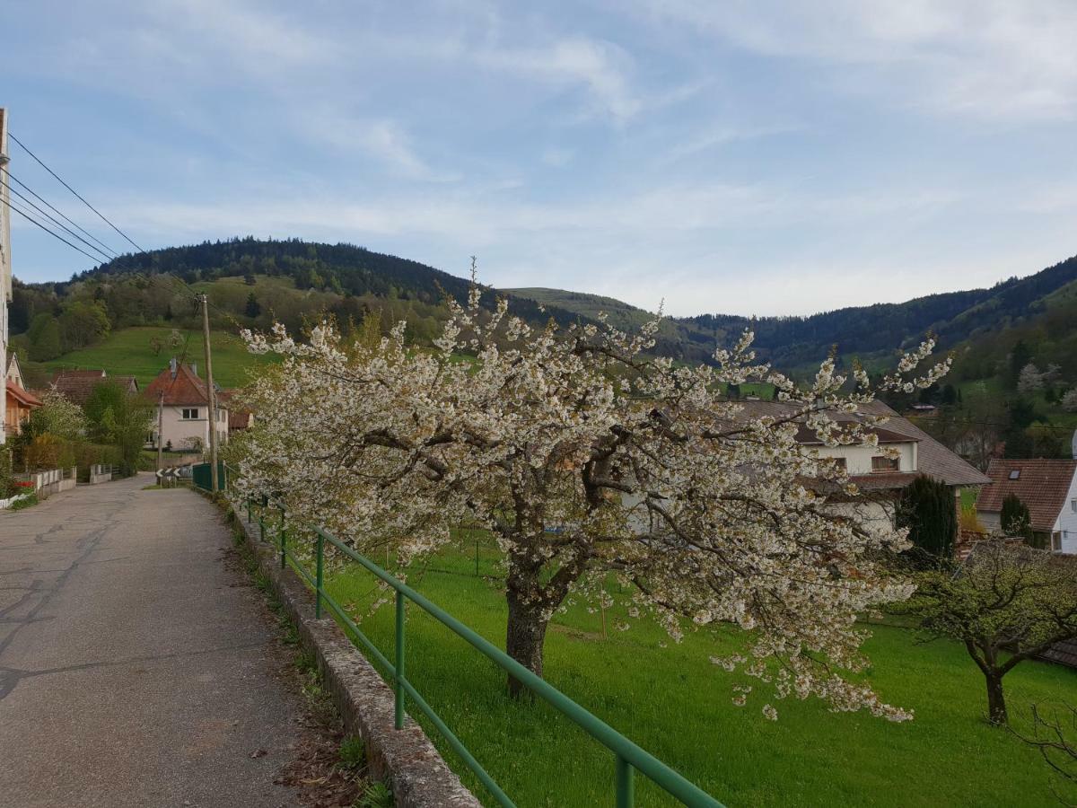 Petit Week End Dans La Vallee Breitenbach-Haut-Rhin Exteriör bild