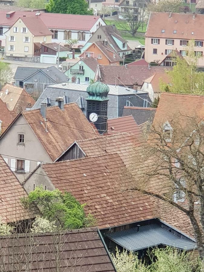Petit Week End Dans La Vallee Breitenbach-Haut-Rhin Exteriör bild