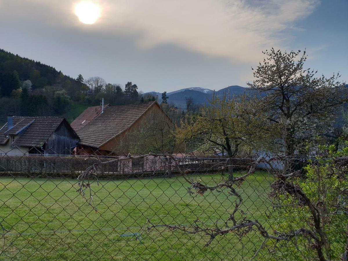 Petit Week End Dans La Vallee Breitenbach-Haut-Rhin Exteriör bild