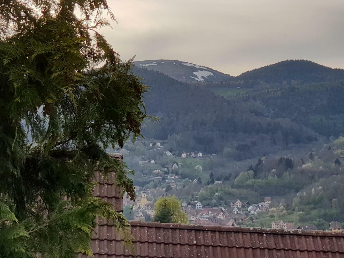Petit Week End Dans La Vallee Breitenbach-Haut-Rhin Exteriör bild