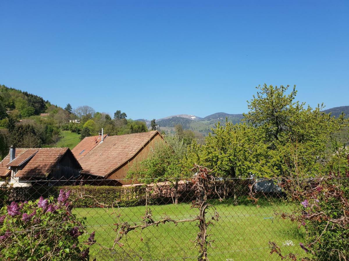 Petit Week End Dans La Vallee Breitenbach-Haut-Rhin Exteriör bild