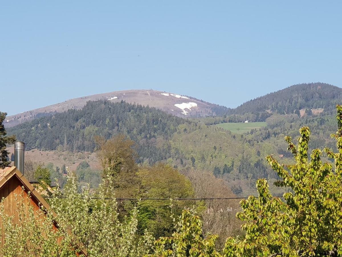 Petit Week End Dans La Vallee Breitenbach-Haut-Rhin Exteriör bild
