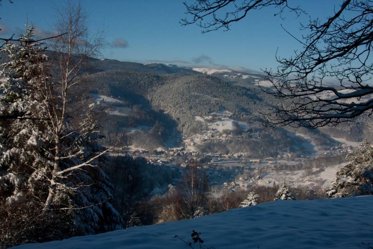 Petit Week End Dans La Vallee Breitenbach-Haut-Rhin Exteriör bild